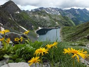 92 Arnica con vista sul Lago del Diavolo